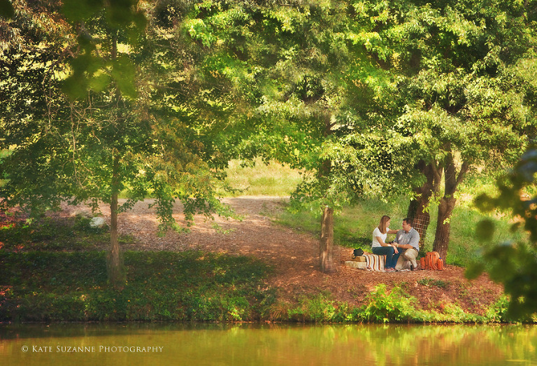 how to propose in a park setting