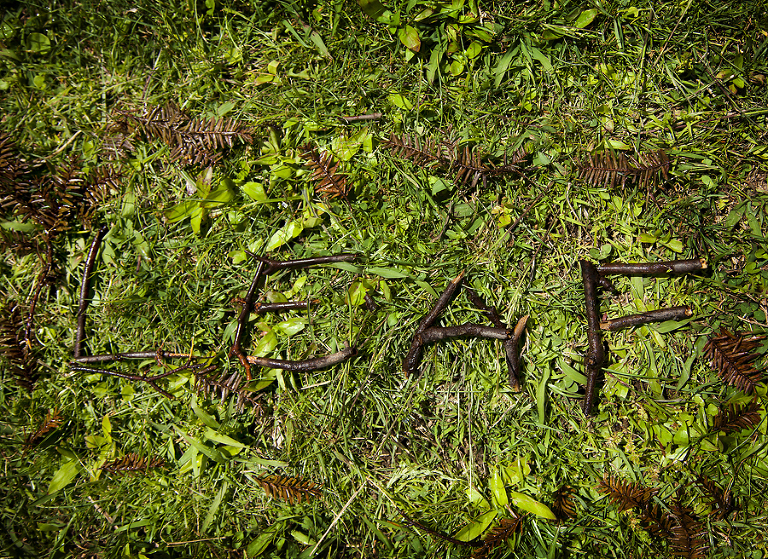 LEAF sticks