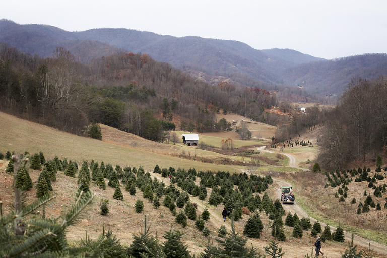 north-carolina-farms