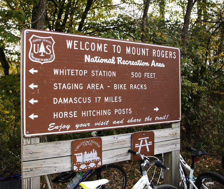 Mount Rogers National Recreation Area